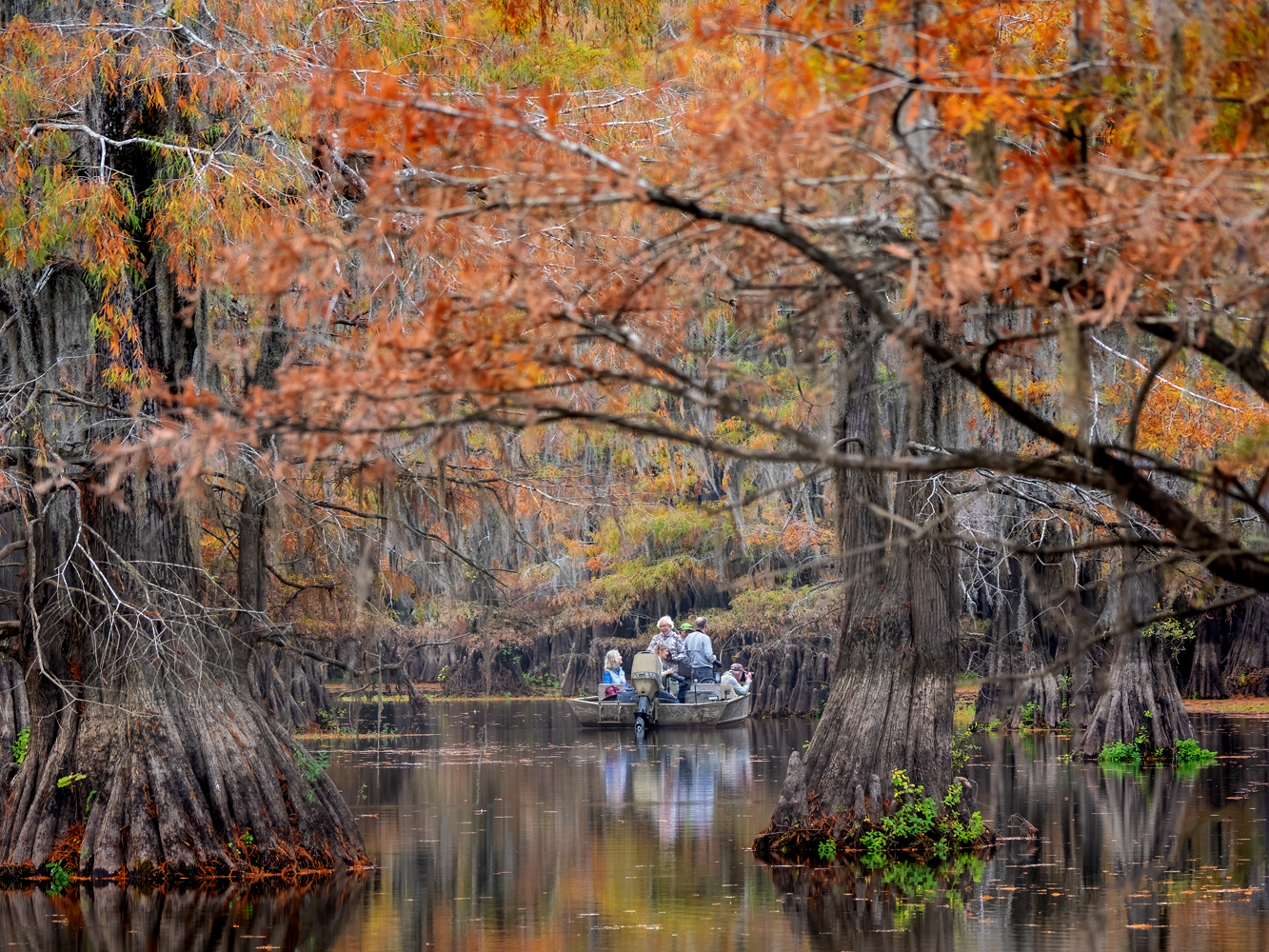 Caddo Lake & Big Cypress Bay 2024 Trip Report