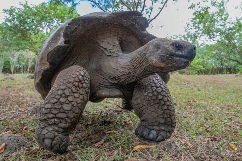 Ultimate Galapagos 2024 Trip Report