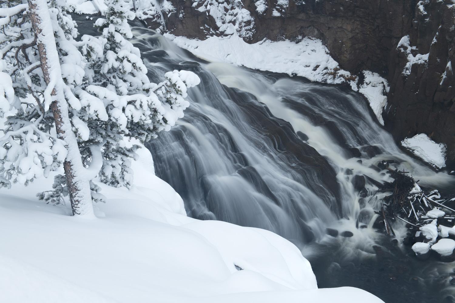 2024 Yellowstone in Winter