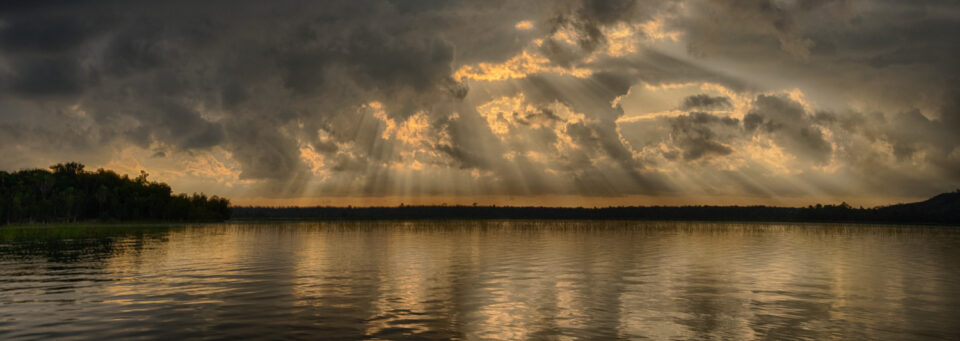 2024 Wild Madagascar