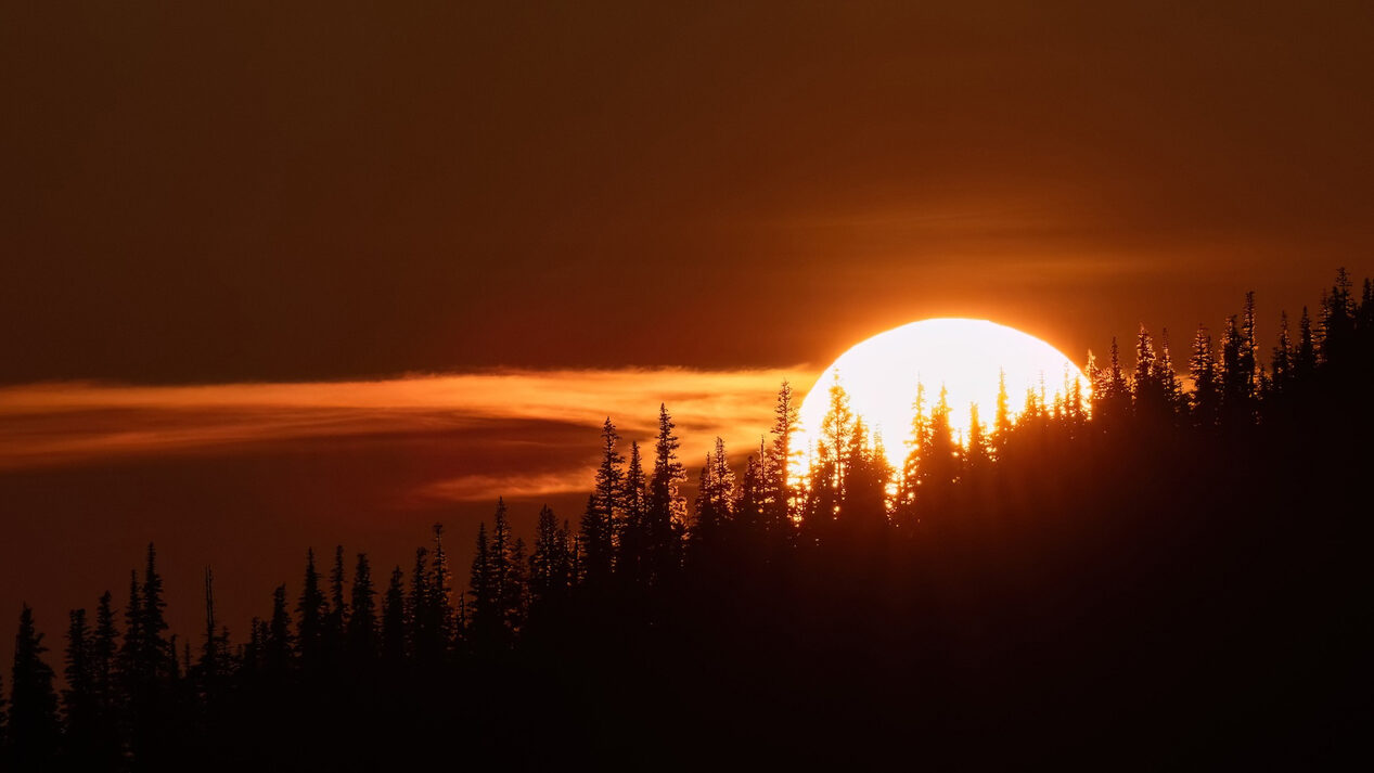 Sunset ridge trees edited