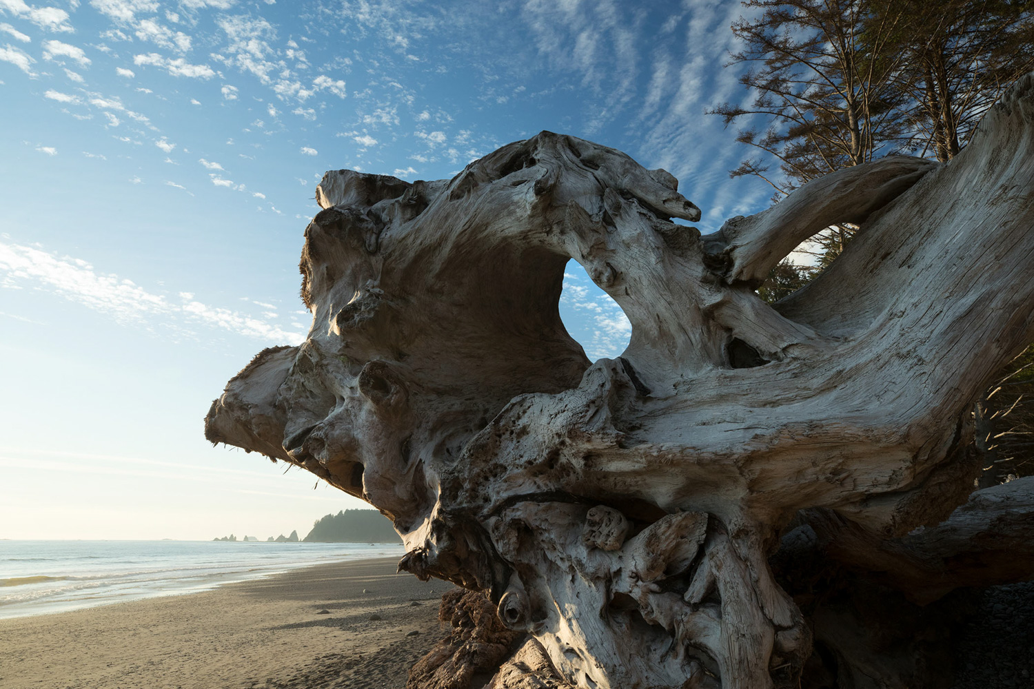 Olympic National Park, Washington