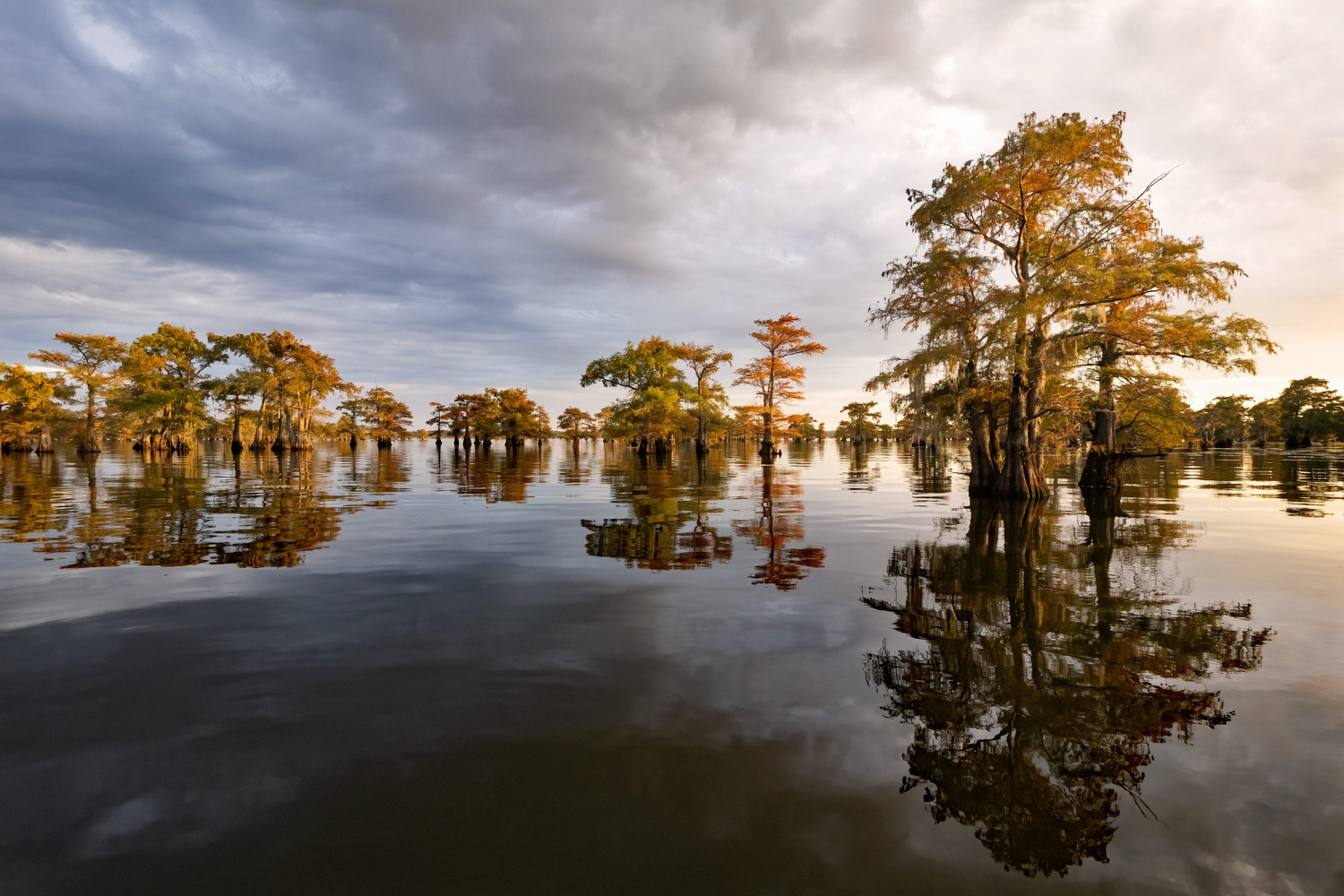 Caddo Lake and Big Cypress Bayou, Texas in Autumn