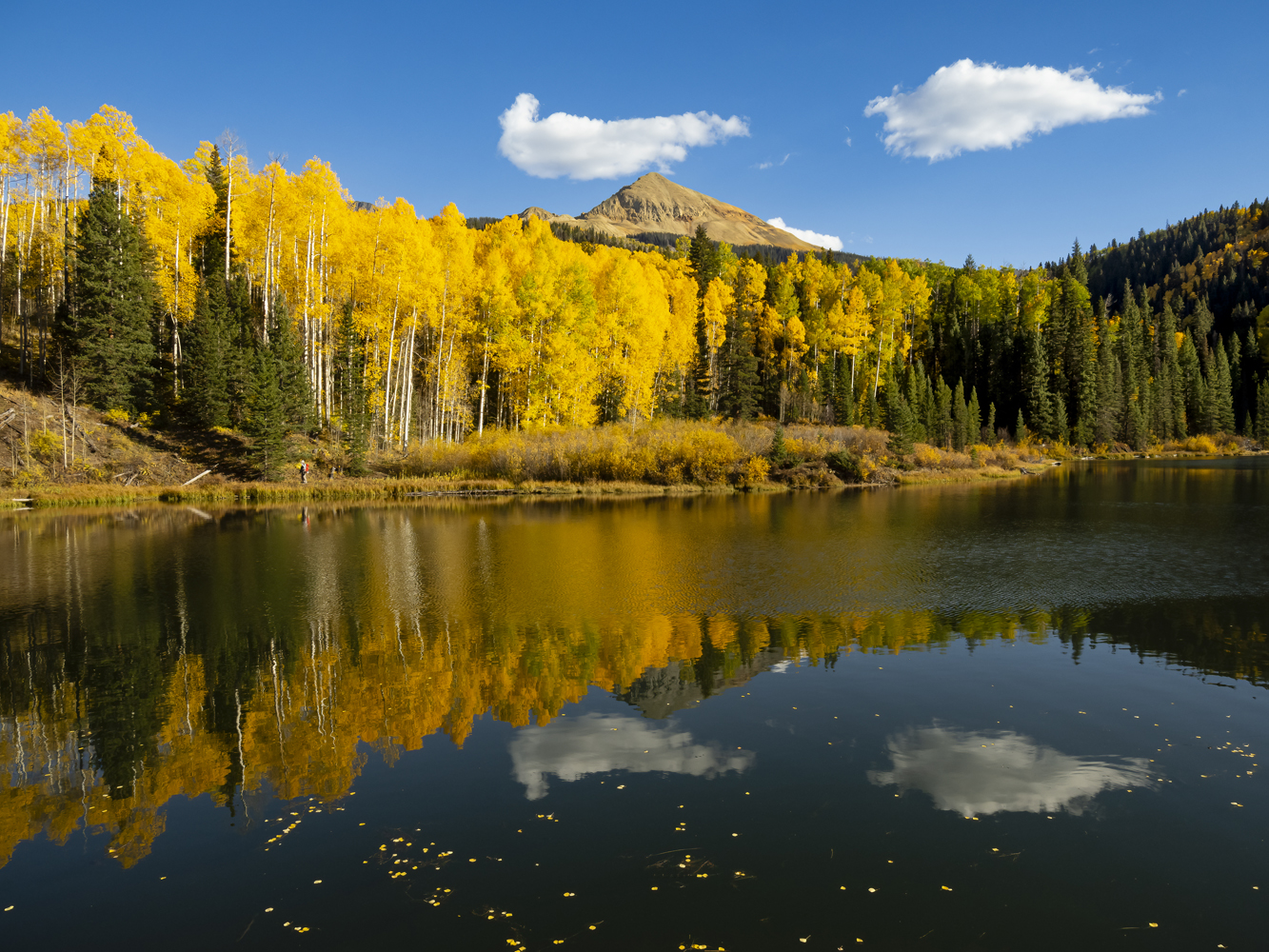 Colorado fall colors